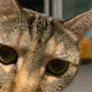 Meet your Posher, Caitlin